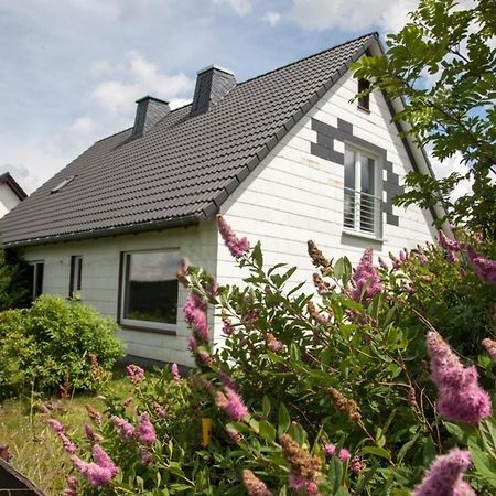 Ferienhaus Grenzweg Winterberg Exteriér fotografie