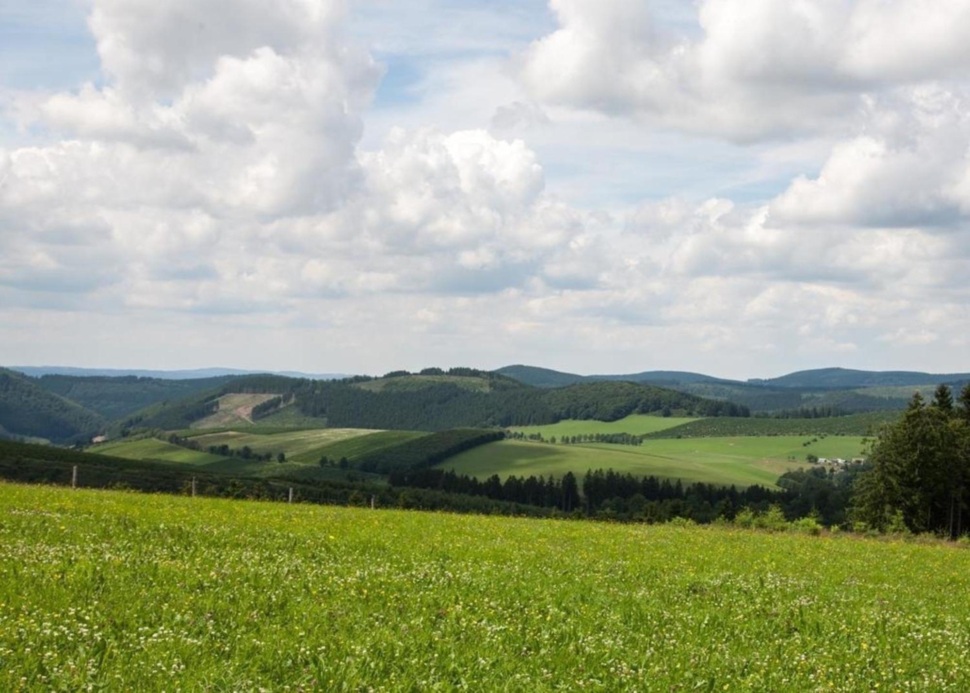 Ferienhaus Grenzweg Winterberg Exteriér fotografie